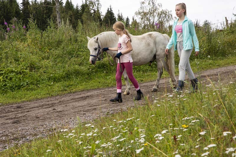 Kaksi tyttöä kulkee tietä vaalean ponin kanssa.