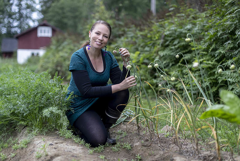 Nainen on vihreällä kasvimaalla polvillaan ja pitelee käsissään sipuleita, joissa on naatit.