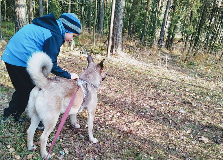 Lapsi ja koira menossa luontoon.