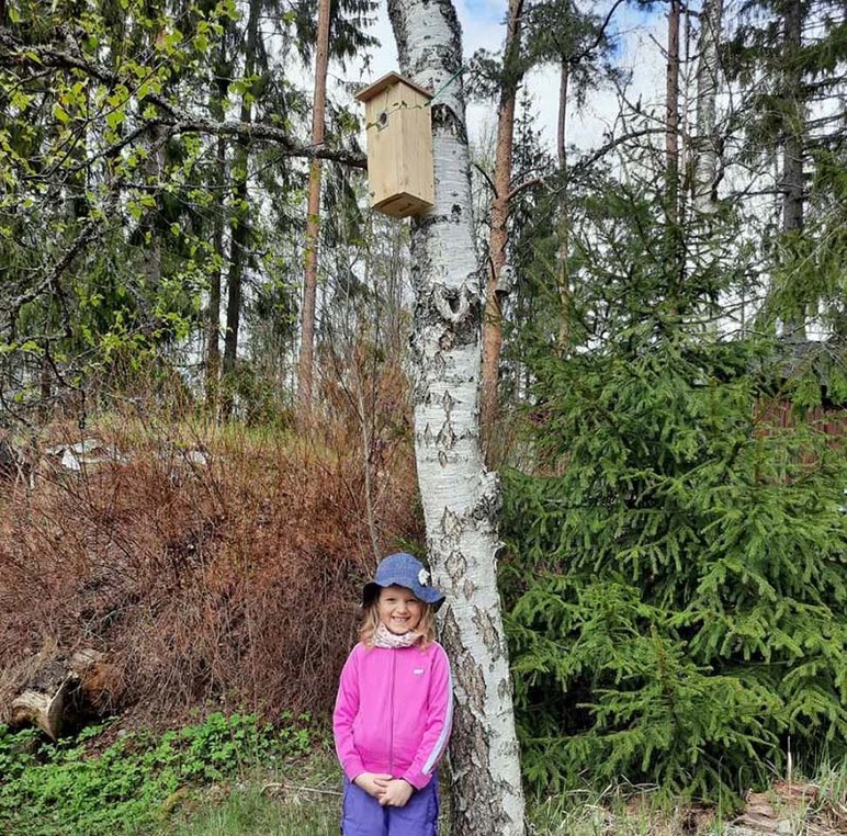 Iloinen tyttö aurinkolasit päässään kurkottelee puuhun, jossa on linnunpönttö.