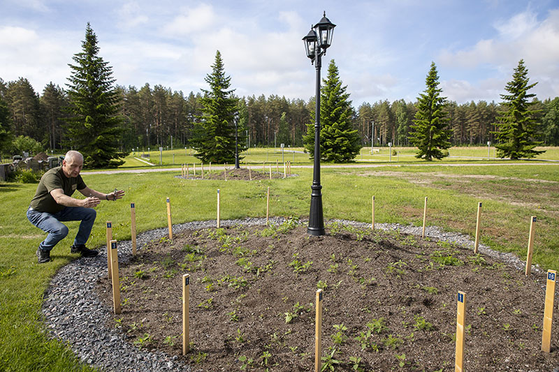 Henkilö on kyykyssä ison ympyrän muotoisen multaisen alueen vierellä. Ympyrän reunoilla on soraa ja keppejä, ja sen ympärillä nurmikkoa.